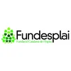 image for Fundació Catalana de l'Esplai (Fundesplai)