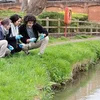 image for Leading a ‘Train the Trainer’ workshop