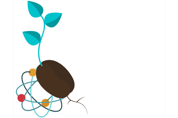 image for SEEDS - Scientific EngagEment for ADolescentS