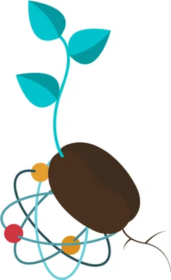 Image for SEEDS - Scientific EngagEment for ADolescentS