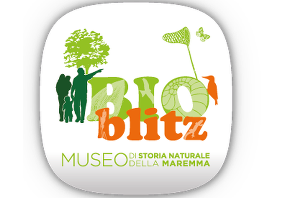 image for BioBlitz by Maremma Natural History Museum