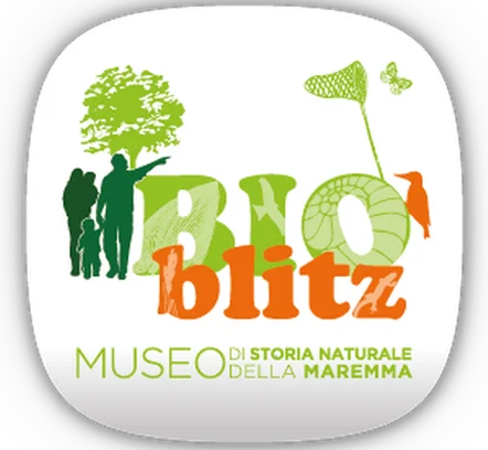 Image for BioBlitz by Maremma Natural History Museum