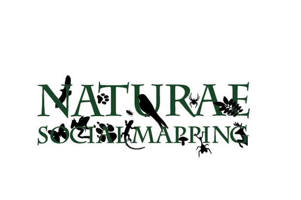 Image for Naturæ Social Mapping