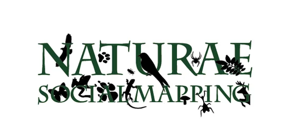 Image for Naturæ Social Mapping