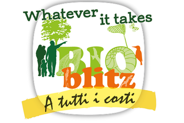 image for BioBlitz a tutti i costi