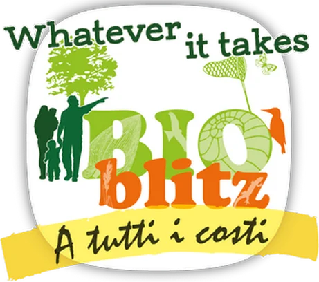 Image for BioBlitz a tutti i costi