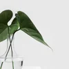 image for European Clean Air Day - citizen science for clean air