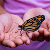 image for BioBlitz: Promoting cross border Research and collaborative Practices for Biodiversity Conservation