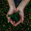 image for Mission Sustainable: Fostering an enabling environment for sustainable Citizen Observatories. WeObserve policy brief 2