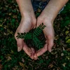 image for Mission Sustainable: Fostering an enabling environment for sustainable Citizen Observatories. WeObserve policy brief 2