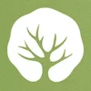 Project icon