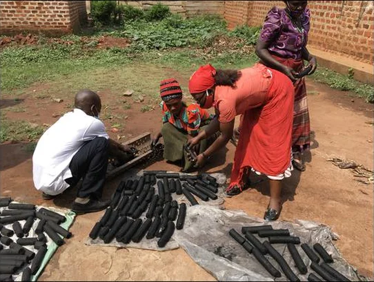 Image for STEP CHANGE: Demonstration of the Potential of Renewable Energy for Productive Use in Rural Uganda