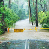image for The value of citizen science for flood risk reduction: cost–benefit analysis of a citizen observatory in the Brenta-Bacchiglione catchment