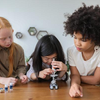 image for Gender Imbalance and Spatiotemporal Patterns of Contributions to Citizen Science Projects: the case of Zooniverse