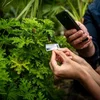 image for Guide to Data Charter for Citizen Science