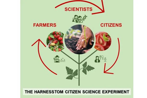 Image for Harnesstom (Harnessing the value of tomato genetic resources for now and the future)