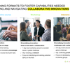 image for Training programs to build capacity for collaborative innovation processes