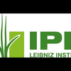image for IPK Gatersleben