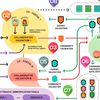 image for How Networks of Citizen Observatories Can Increase the Quality and Quantity of Citizen-Science-Generated Data Used to Monitor SDG Indicators