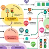 image for How Networks of Citizen Observatories Can Increase the Quality and Quantity of Citizen-Science-Generated Data Used to Monitor SDG Indicators