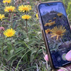 image for Flora Incognita App
