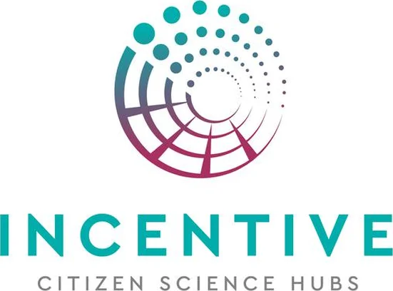 Image for INCENTIVE 
