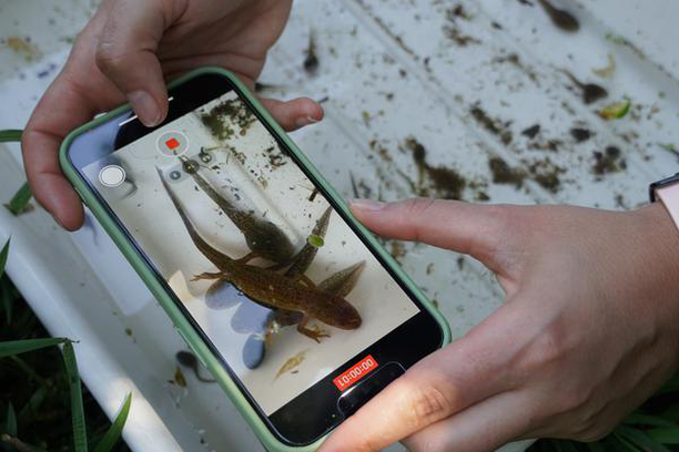 image for BIODIVERSITY GO!