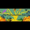 image for The Posthumanities Hub at Linköpings universitet