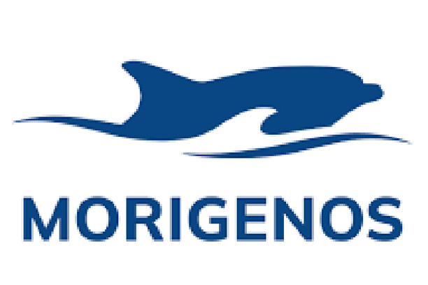 image for Slovenian dolphin project