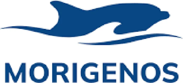 Image for Slovenian dolphin project