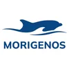 image for Morigenos - the Slovenian Marine Mammal Society