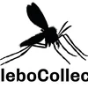 Project icon