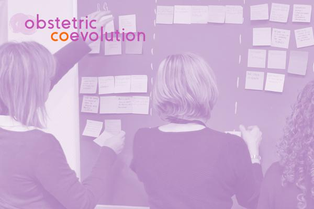 image for Obstetric coevolution