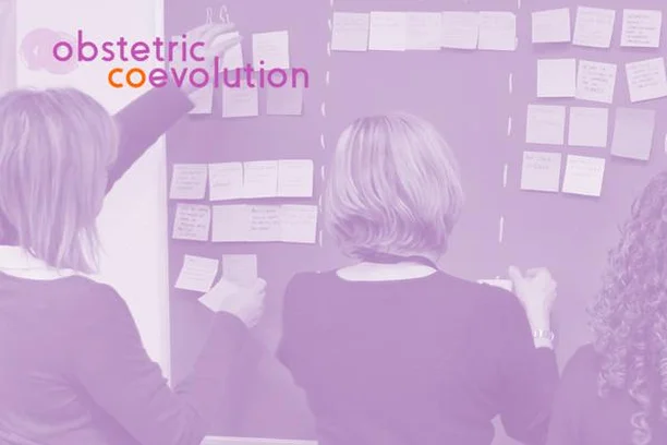 Image for Obstetric coevolution