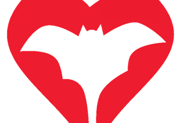 Image for Bat Monitoring Programme