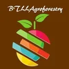 image for BTLLAgroforestry