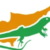 Project icon