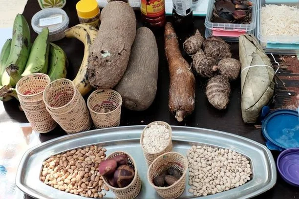 Image for Vyakulani Africa