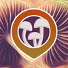 Project icon