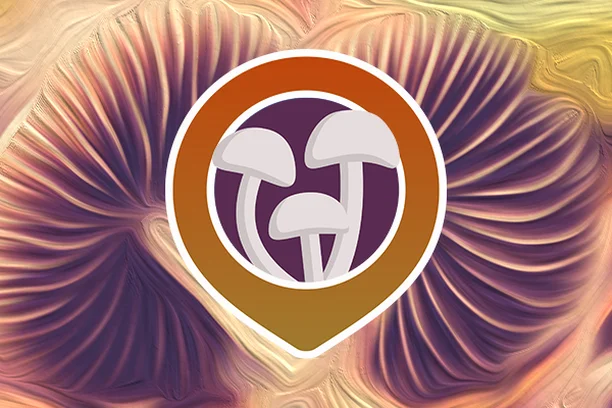 Image for Pilzfinder