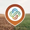 Project icon