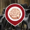 Project icon