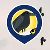 Project icon