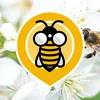 Project icon