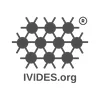image for Instituto Virtual para o Desenvolvimento Sustentável - IVIDES.org