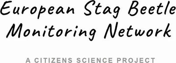 Image for European Stag Beetle Monitoring Network