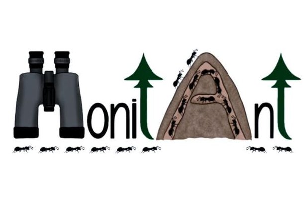 Image for MonitAnt
