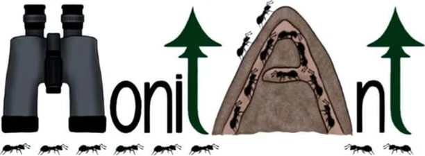 Image for MonitAnt