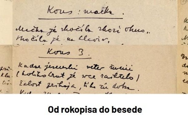 Image for From manuscript to the word