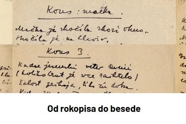 Image for From manuscript to the word